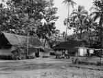 Cook Island - Rarotonga village scene