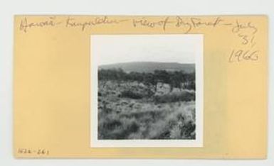 [Dry forest in Hawaii, envelope IE26-261]