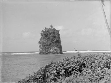 [Forested coastal stack/small island]