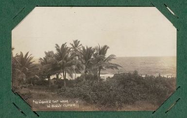 'Ye groves that wave in sunny climes'.  From the album: Banaba (Ocean Island)