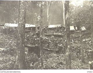 KANKIRYO SADDLE, FINISTERRE RANGE, NEW GUINEA, 1944-02-15. MEMBERS OF "B" COMPANY, 57/60TH INFANTRY BATTALION MOVING UP KANKIRYO SADDLE ALONG STEPS CUT BY THE 2/9TH BATTALION. "B" COMPANY IS ON THE ..
