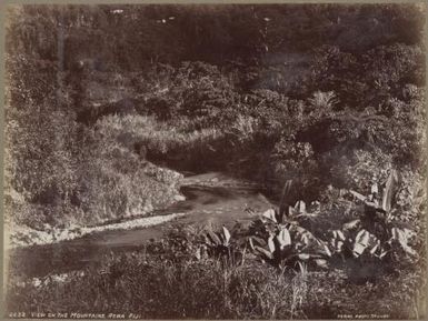 View on the mountains, Rewa, Fiji, approximately 1890 / Charles Kerry