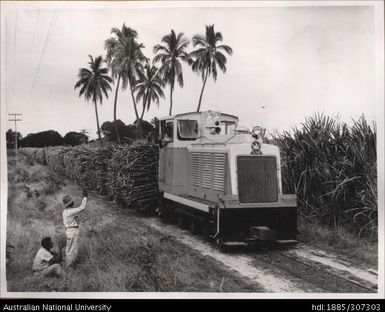 Cane Train