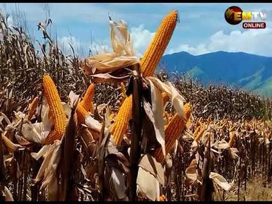 RUMION FARM HARVEST