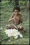 Girl making garland or lei of frangipani (plumeria) flowers