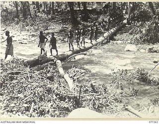 BOUGAINVILLE. 1944-11-24. LOCAL ISLAND NATIVES CROSSING A LOG BRIDGE OVER THE LARUMA RIVER TO PICK UP FOOD AND AMMUNITION FOR TRANSPORT BACK TO THE POSITIONS HELD BY D AND C COMPANIES OF THE 9TH ..