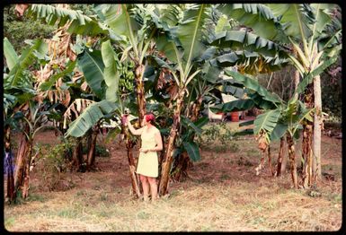 Rakiraki Hotel, Fiji, 1971