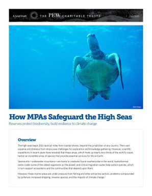 How MPAs safeguard the high seas.