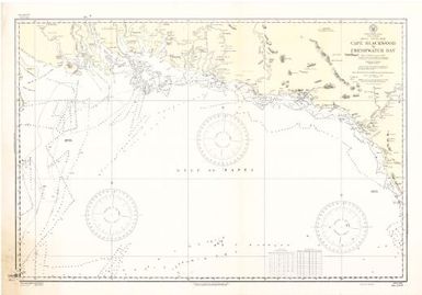 Cape Blackwood to Freshwater Bay, Papua, south coast, New Guinea, South Pacific Ocean : from a British survey in 1846 / Hydrographic Office, U.S. Navy