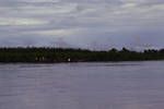 Canoes moving upstream along the Sepik River, near Angoram, [Papua New Guinea, 1969?]