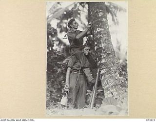 KARKAR ISLAND, NEW GUINEA. 1944-06-04. VX135938 SIGNALMAN G R BAYLEY (1) AND V128086 SIG. E GRANTHAM (2), MEMBERS OF THE 37/52ND INFANTRY BATTALION, USE EACH OTHER'S SHOULDERS AND ABANDONED ..