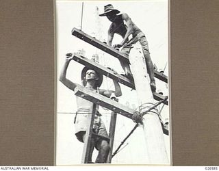 PORT MORESBY, PAPUA. 1942-09. TWO A.I.F. SIGNALLERS WHO SERVED IN THE MIDDLE EAST AND ARE NOW BUSY WITH THEIR UNIT IN NEW GUINEA. THEY ARE UTILISING EXISTING CIVILIAN TELEPHONE POLES AND SOME ..