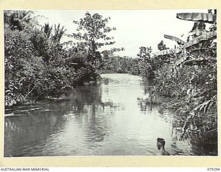 MELKONG RIVER, NEW BRITAIN. 1945-02-20. A SECTION OF THE RIVER NEAR THE CAMP OF THE 14/32ND INFANTRY BATTALION. NOTE THIS SECTION IS HEAVILY INFESTED WITH CROCODILES