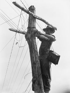 BOUGAINVILLE ISLAND, 1945-01-19. QX55363 SERGEANT K. ROBERTS, SIGNALS SECTION, 61ST INFANTRY BATTALION TESTING TELEGRAPH AND TELEPHONE LINES SLUNG ON IMPROVISED POLES ACROSS THE JABA RIVER