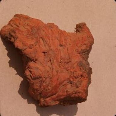 [Volcanic splatter in Bernice Pauahi Bishop Museum, United States]