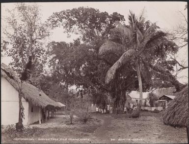 Women and children gathered around a banyan tree on Fila Island, New Hebrides, 1906 / J.W. Beattie