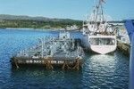 NOAA R/V Townsend Cromwell being fueled at Guam. Indopac Expedition, July 7, 1976