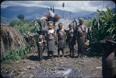 The bride and her attendants : Wahgi Valley, Papua New Guinea, 1955 / Terence and Margaret Spencer