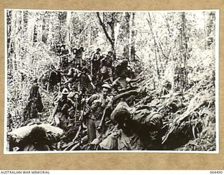 MELBOURNE, VICTORIA, AUSTRALIA. 1944-03-03. COPY OF A SCENE FROM A CINE STRIP OF AUSTRALIAN TROOPS AND NATIVE CARRIERS MOVING THROUGH THE JUNGLE SOMEWHERE IN NEW GUINEA