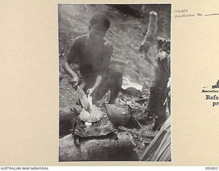 MOROKAIMORO, BOUGAINVILLE, 1945-06-05. A KANAKU COOK USING AN IMPROVISED PAN TO COOK A WHEATMEAL CAKE AT AN ANGAU CAMP. THE NATIVES, EVACUATED FROM ENEMY AREAS, ARE BEING FED BY ANGAU