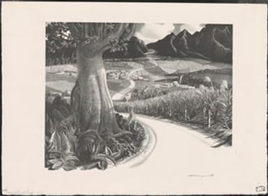 Hawaii advertisement, no. 1