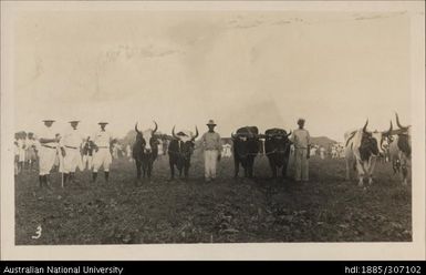 Nausori Agricultural Show