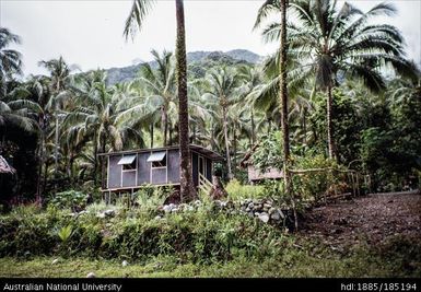 Aid Post at Didiwaga (?)Where we recorded tetera during a heavy shower