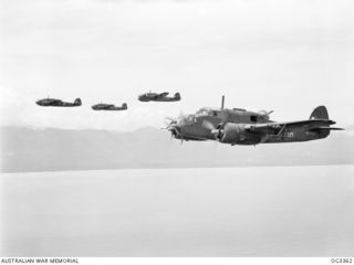 WEWAK AREA, NORTH NEW GUINEA. 1945-01-20. FOUR BEAUFORT BOMBER AIRCRAFT OF NO. 100 SQUADRON RAAF IN FLIGHT HEAD DOWN THE NORTHERN COAST OF NEW GUINEA WITH BOMBS FOR JAPANESE INSTALLATIONS AT WEWAK. ..