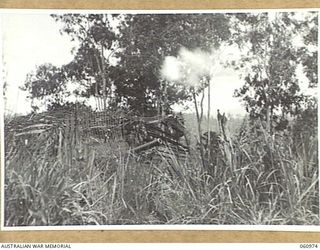 DONADABU AREA, NEW GUINEA. 1943-12-01. NO. 4 GUN OF THE 2/4TH AUSTRALIAN FIELD REGIMENT WELL CAMOUFLAGED DURING THE COMBINED EXERCISES WITH THE 2/10TH AUSTRALIAN INFANTRY BATTALION