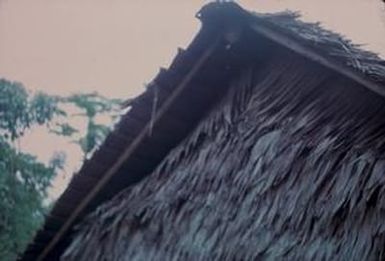 [Thatch-roofed building at Espiritu Santo, Vanuatu]