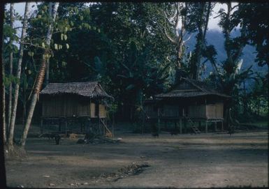 Coastal villages between Fai'ava and Mataita (3) : Goodenough Island, D'Entrecasteaux Islands, Papua New Guinea, 1956-1958 / Terence and Margaret Spencer