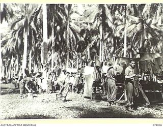 SIAR, NEW GUINEA. 1944-06-19. TROOPS OF B COMPANY, 58/59TH INFANTRY BATTALION WASHING CLOTHES ON THEIR TENT LINES AMONG THE COCONUT PALMS