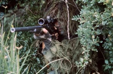 A member of the 2nd Battalion, 3rd Marines, sights in a target with a M-70 sniper's rifle during a training exercise