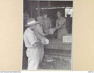 BORAM, NEW GUINEA. 1945-11-16. PRIVATE E.T. BLACKWOOD AT 3 BASE SUB AREA, AUSTRALIAN ARMY CANTEENS SERVICE, ISSUING DRY CANTEEN SUPPLIES