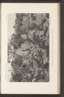 ["Gezicht op rotsen met honingraatmotief met en man ernaast op Ngele Levu", "Honeycombed surface of Ngele Levu"]