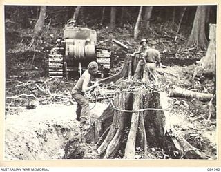 CAPE CUNNINGHAM, NEW BRITAIN, 1944-12-16. 2/2 FORESTRY COY MEMBERS ENLARGING THE MILL SITE AND DRAGGING STUMPS WITH A TRACTOR