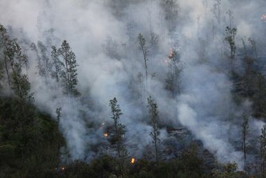 As a result of the Kilauea Volcano eruption in June 2014, lava flows through forest area near Pahoa, Hawaii.