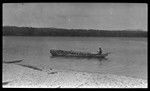 Man rowing a canoe with a load of coconuts