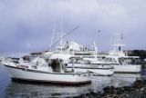 French Polynesia, fishing boats docked along shore of Tahiti Island