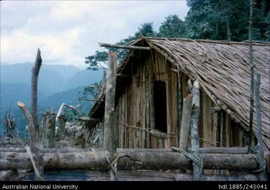 Rear of house, Efonobu