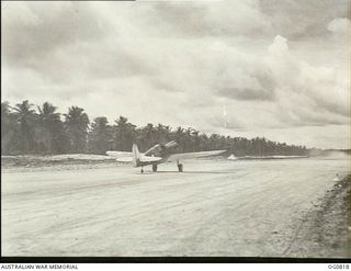 MOMOTE, LOS NEGROS ISLAND, ADMIRALTY ISLANDS. 1944-03-18. KITTYHAWK AIRCRAFT OF NO. 76 SQUADRON RAAF ON THE CORAL-SURFACED MOMOTE AIRSTRIP, LINED WITH COCONUT PALM TREES, ONLY SIX DAYS AFTER THE ..