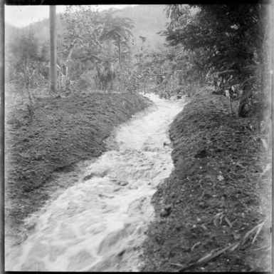 Stream running through Chinnery's garden after volcanic eruption, Malaguna Road, Rabaul, New Guinea, 1937 / Sarah Chinnery