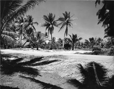 Buildings and the Volleyball Court at Camp Dealey