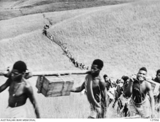 WAU, NEW GUINEA. 1942-04. AFTER DAYS OF TRAVERSING THICK JUNGLE, WITHOUT SIGHT OF THE SUN, A NATIVE CARRIER-LINE WITH SUPPLIES FOR KANGA FORCE EMERGES NEAR WAU INTO THE HEAT OF THE KUNAI-COVERED ..