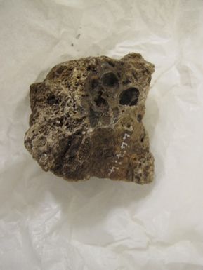 Resin, 2 pieces of