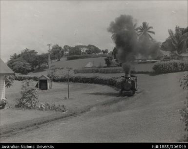 Cane Train