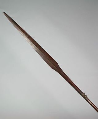Pole spear