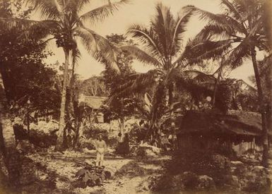 Mission House Niue. From the album: Views in the Pacific Islands