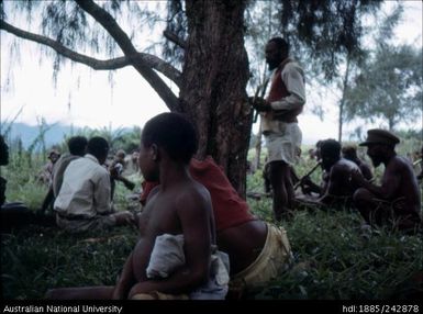 People seated around the tree