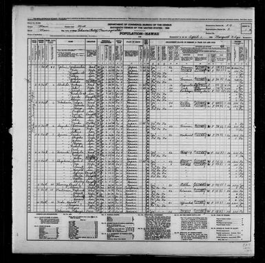 1940 Census Population Schedules - Hawaii - Maui County - ED 5-9